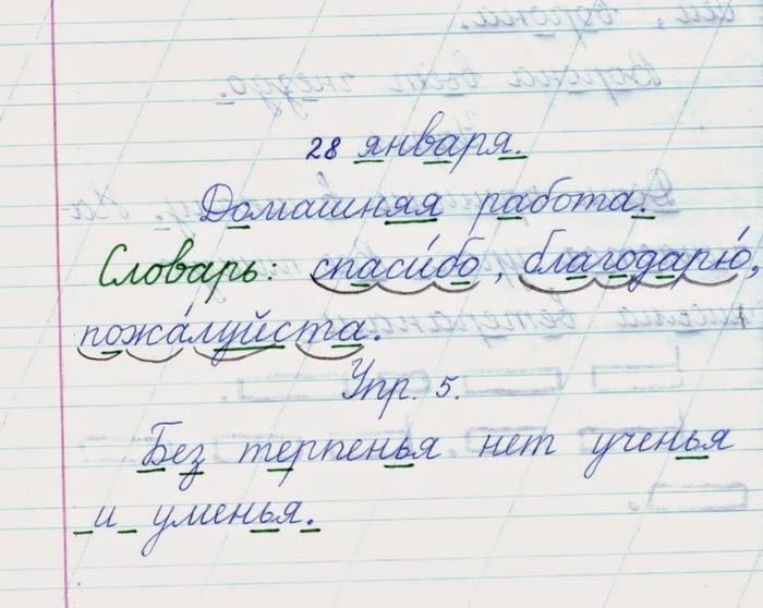 2. Тот, кто делает домашнюю работу, учится лучше