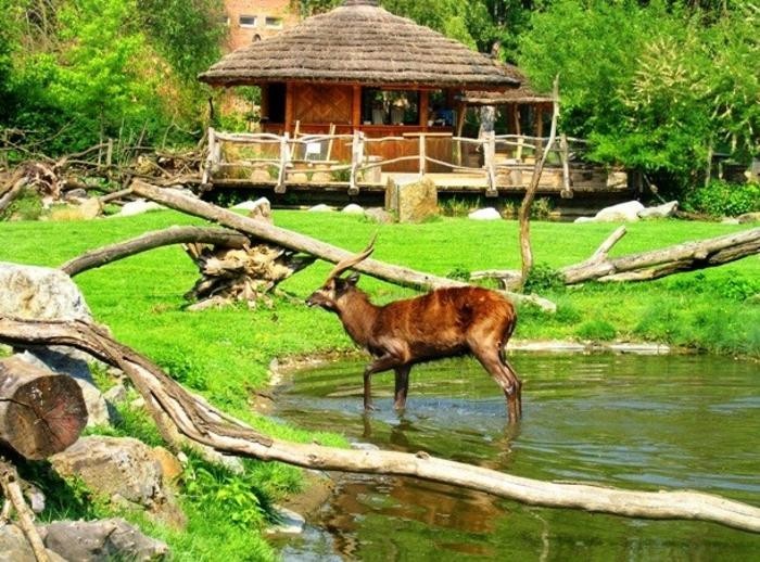 Пражский зоопарк