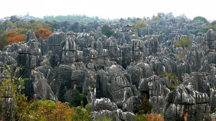 Каменный лес в Китае