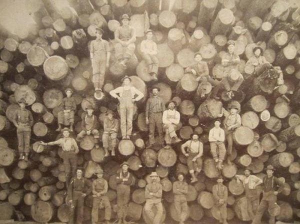 На вырубке, 1900-е годы.