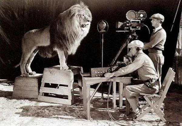 Лев снимался для Metro-Goldwyn-Mayer.