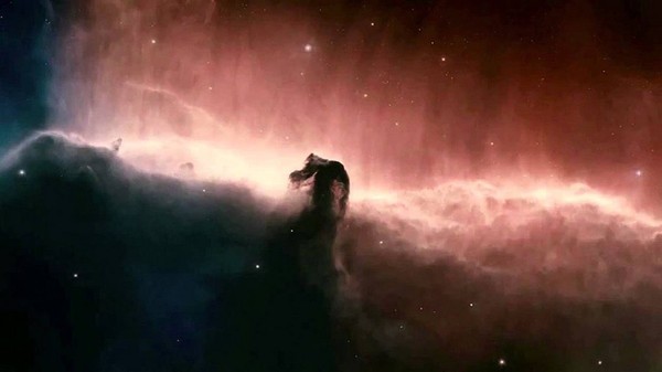 Древо жизни / The Tree of Life (2011)