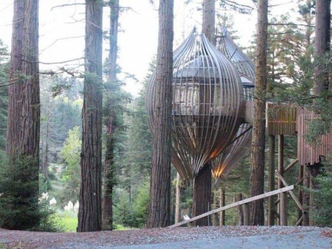 Посетите Redwoods Treehouse в Уоркуэрте, Новая Зеландия, если любите природу
