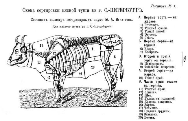 Схема разделки говяжьей туши с названиями