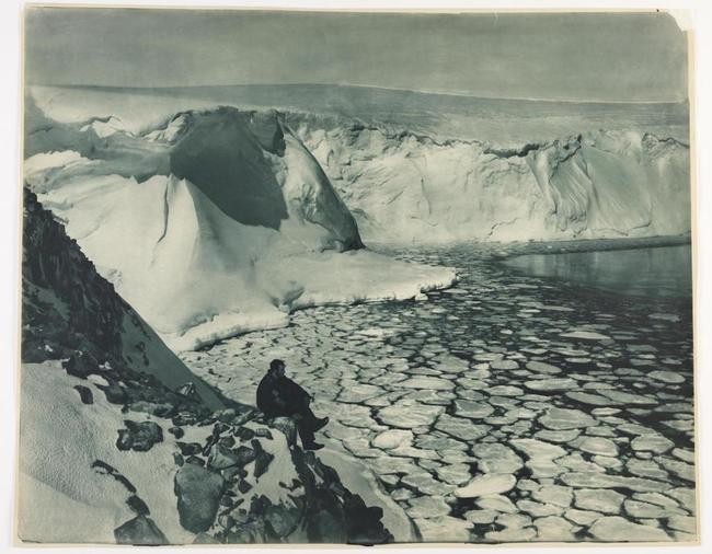 Австралийская антарктическая экспедиция (1911-1914)