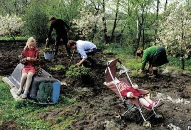 Распределение земли