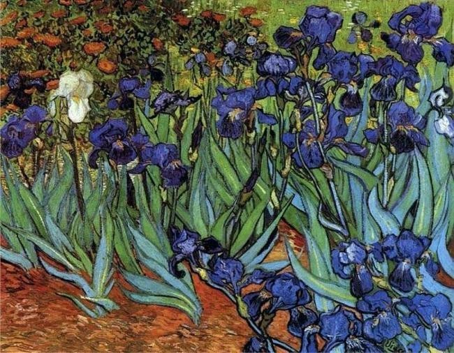 4. Ирисы (1889)
