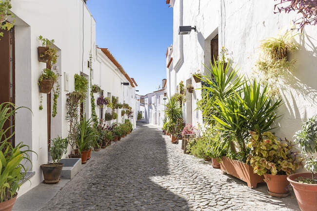 Мора