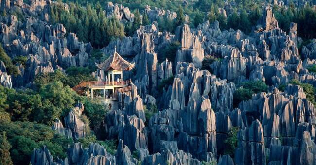 14. Каменный лес, Китай
