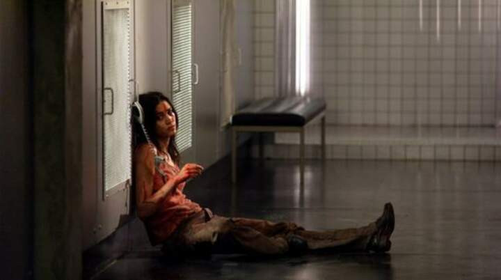 3. Мученицы / Martyrs (2008)