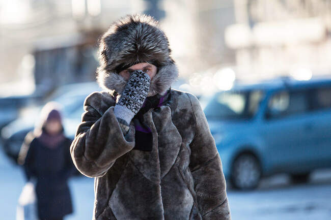 2. Нет ничего плохого в шубе