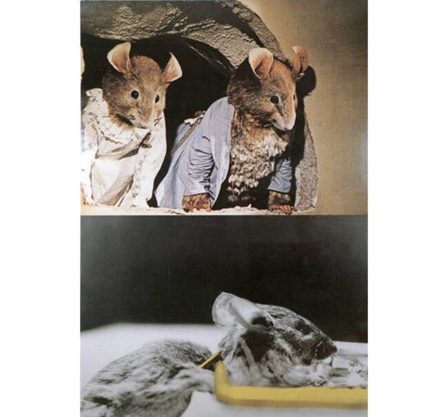 Джон Балдессари. Два зрителя и трагедия (с мышами). 1989