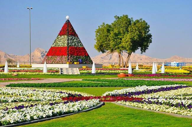 Общественные сады