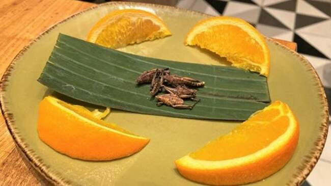 Кузнечики