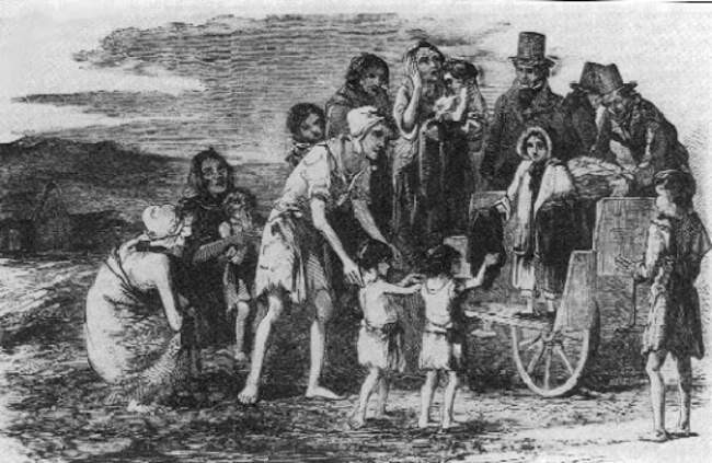 1845-53 годы – Ирландский картофельный голод