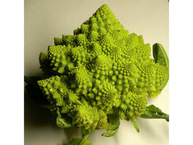 Como hacer el romanescu