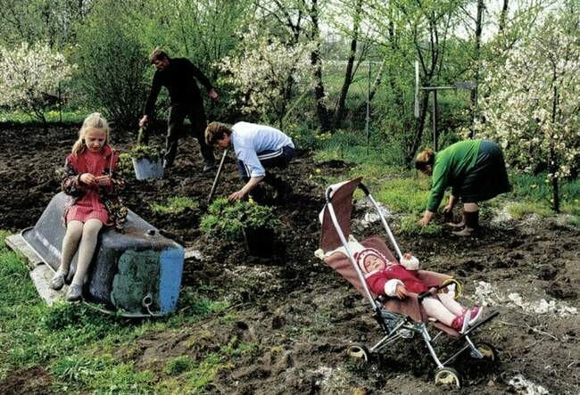 7. Почему шесть соток – ни больше и ни меньше