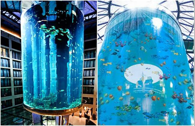 1. Лифт AquaDom в Берлине (Германия)