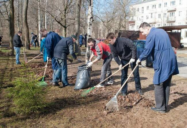 9. Субботник - экоакция