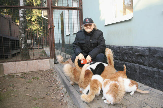 Юрий Антонов