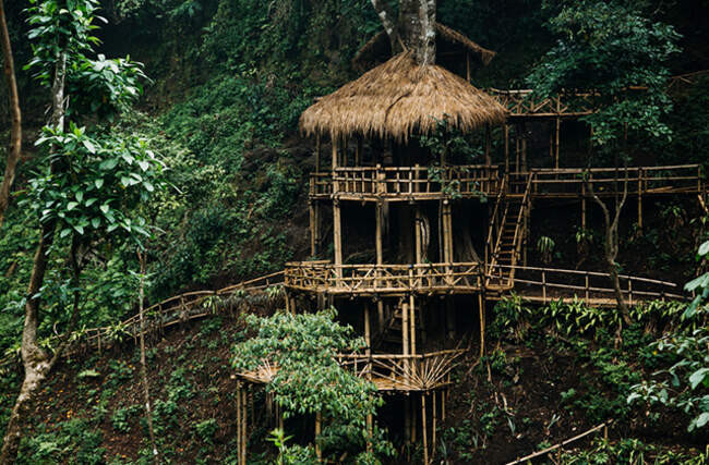 Дом на дереве: Коста-Рика