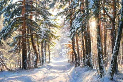 Подборка очаровательных зимних картин современных художников