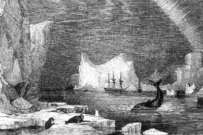 Тайна пропавшей экспедиции, которая стала в истории как самая масштабная трагедия Арктики