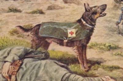 Псы войны: десять героических историй о фронтовых собаках