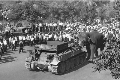 Из-за чего нещадно убили любимца Еревана слона Вову?