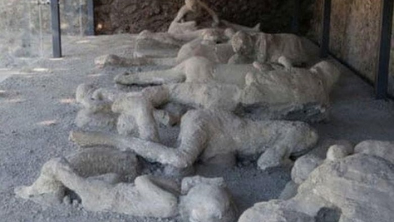 Помпеи: десять скорбных фактов о жертвах Везувия | homsk
