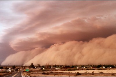 Как выглядит аризонский хабуб?