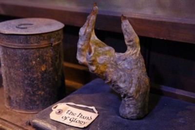 Рука славы: история средневекового артефакта из ладони висельника, который якобы обладал магическими свойствами