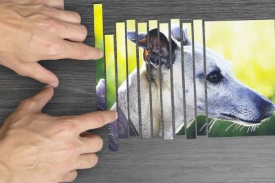 17 зрелищных научных опытов, которые наверняка вам понравятся