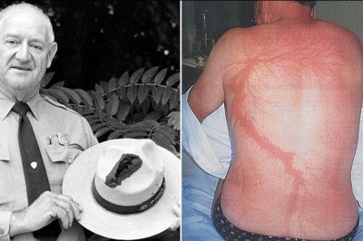 Американец Рой Салливан пережил семь ударов молнией, но погиб от неразделенной любви