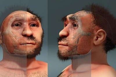 Homo erectus: внешность и быт предка современного человека