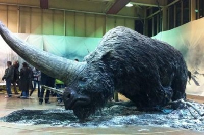 Elasmotherium: что случилось с гигантским сибирским единорогом размером с мамонта