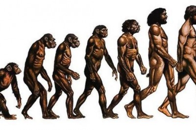 Зубы мудрости, волосяной покров, третье веко и другие части тела, которые мы можем потерять в будущем