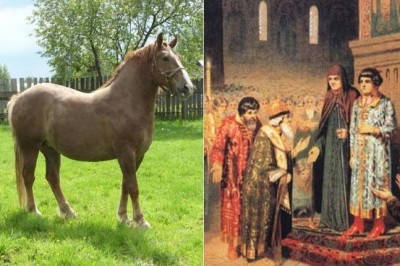 Что означают русские фамилии, образованные от названий растений, животных, птиц и насекомых