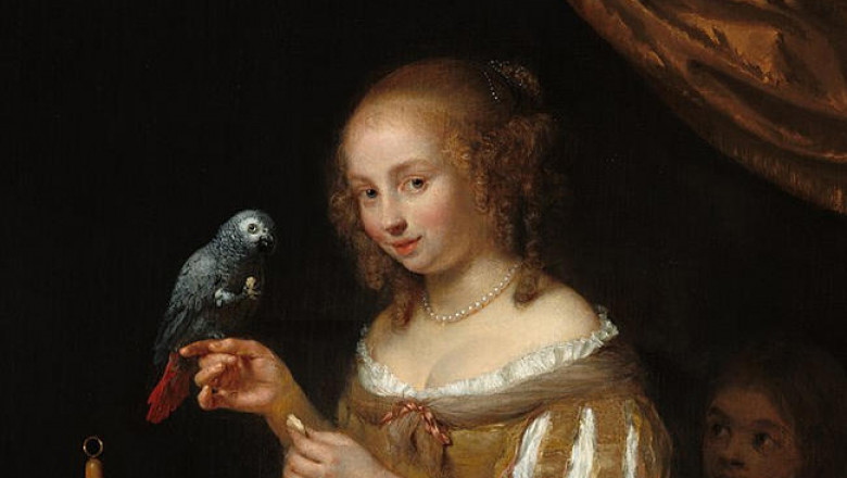 «Дама с попугаем у окна» Каспара Нетшера: как связаны улыбка героини и птица, нарисованные на картине мастера золотого века
