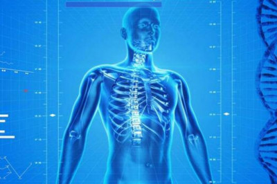 Сколько кожи, крови и слюны производит наше тело