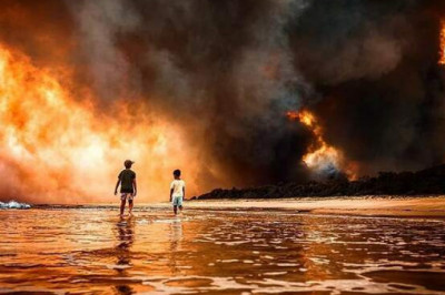 Катастрофический пожар охватил Австралию, в огне погибли сотни коал