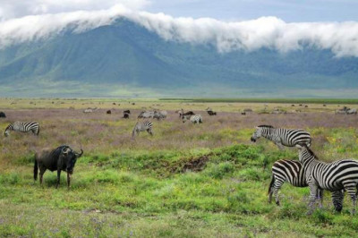 Горы Удзунгва, заповедник Нгоронгоро и другие самые красивые места Танзании