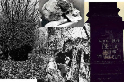 Кто положил Беллу в вяз: жуткая находка в английском лесу