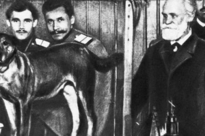 Любил кататься на велосипеде и заниматься плаванием: кем был ученый Иван Павлов и какой вклад в науку он сделал