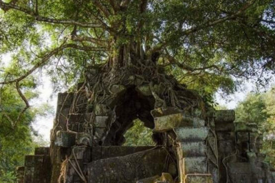 Махендрапарвата: какие тайны хранит древний гигантский город, сокрытый в джунглях Камбоджи