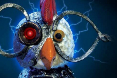 Сталинские боевые куры: правда или миф?