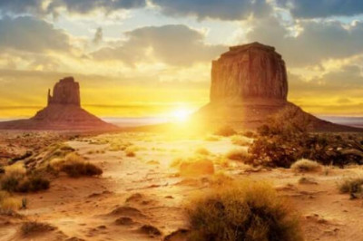 От пустыни до мангровых лесов: 10 различных видов земных биомов