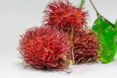 Рамбутан, карамбола и другие странные экзотические фрукты из Азии, о которых вы, вероятно, никогда не слышали