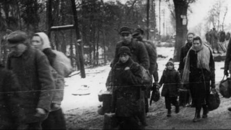 В послевоенное время по плану крестьянам необходимо было сдавать говядину егэ русский