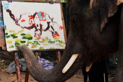 Слоны художники: действительно ли они умеют рисовать или это маркетинговый обман?
